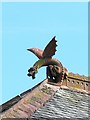 Wyvern roof finial