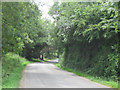 Aby bridge through the trees