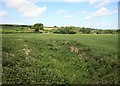 Former North Cornwall Railway Cutting