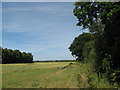 Field edge boundary, also a footpath towards Chichester