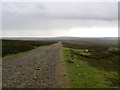 NZ7509 : Stonegate  ( track )  over Lealholm  Moor by Martin Dawes