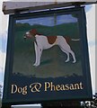 Sign at the "Dog and Pheasant" in Brook