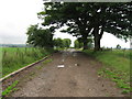 Track south of Dormanstead Farm