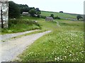 Track to barn conversion project