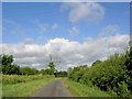 Turn left from Grove Lane at the dead tree for Retford