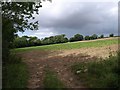 Field near Nanswhyden