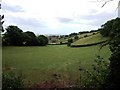 Looking down valley towards Larkbeare Farm from crossroads near Westley Farm