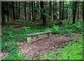 Seat in the Hawkbatch area of the Wyre Forest