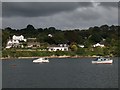 View across Penpol Creek from Point