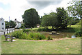 Coldred Street Village Pond