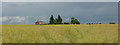 Large field near Grove Moor Farm