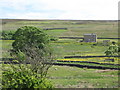 NY6558 : Pastures east of Halton-Lea-Gate (2) by Mike Quinn