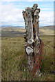 NJ0714 : Old strainer post on Carn na h-Ailig by Dorothy Carse