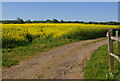 Towards Reigate Hill