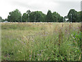 Open space near HM Prison, Eastwood Park