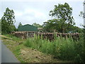 Farm buildings, Grassgill