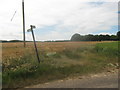 Finger post near Little Plamstead Farm