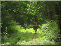 Horserider in Atchester Wood