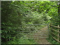 Gate near Atchester Wood