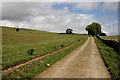 The farm road to Adderston Shiels