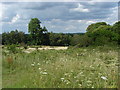 Bagshot Heath