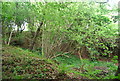 An overgrown quarry off Carter