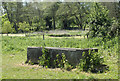 2010 : Horse trough near Henfords Marsh