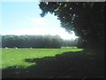 Footpath beside Quilters Wood