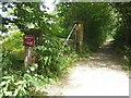 Level crossing of light railway passing through Cuckoo Wood