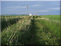 Footpath to Kirktown of Benholm