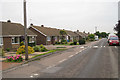 Bungalows on Courtenay Road