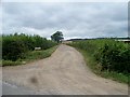 Driveway to Ash Farm