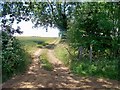 Footpath meets the road