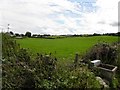 Killymore Townland