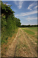 Footpath to Puttock End