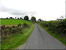 H5375 : Fernagh Road by Kenneth  Allen