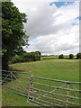 Fields near Sully