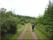 NR9492 : Forest road, Ardcastle Forest by Karl and Ali