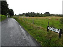 H5976 : Coolaharan Road, Loughmacrory by Kenneth  Allen