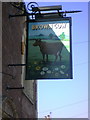 The Brown Cow