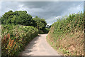 Payhembury: towards Upton