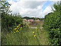 Safety fencing for building site near Uckfield