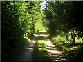 Track to Whitehall Farmhouse and Thomas Acre Farm