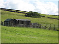 Pastures near the Milecastle Inn