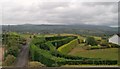 Multi-hedged garden on the outskirts of Newry