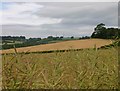 View towards Ilmington Downs