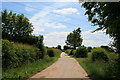 SK6643 : Track toward Trent Lane by David Lally