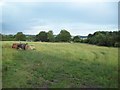 Site of the Stanhope Silkstone Main Colliery