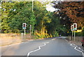 Pedestrian Crossing, Earlham Rd