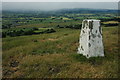 SO2195 : Trig point on Town Hill by Philip Halling